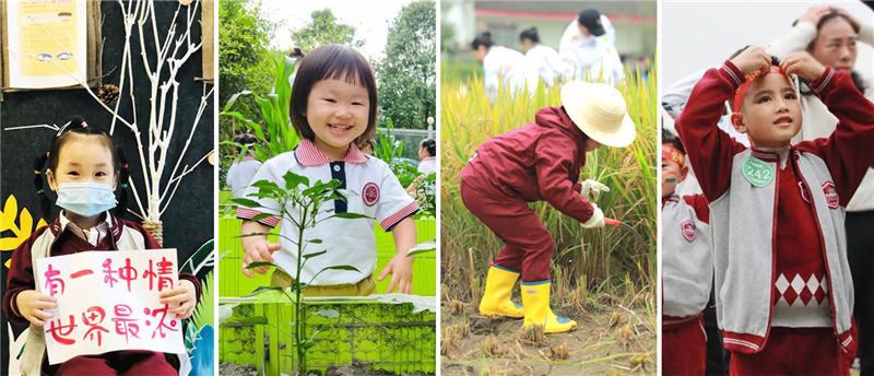 回顾2020 | 东辰幼儿园 四季如梦