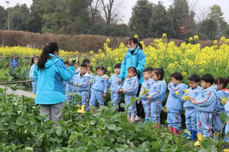 东辰六力幼教 | 环境决定成长的方向