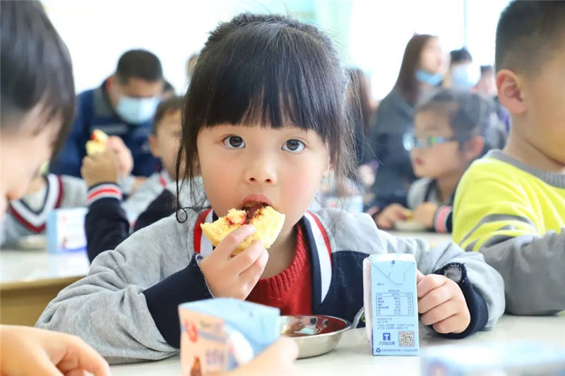 22年专注幼小衔接 | 入学准备篇之六力培养②
